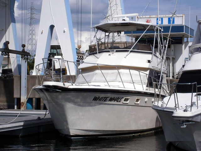 �n�g���X45