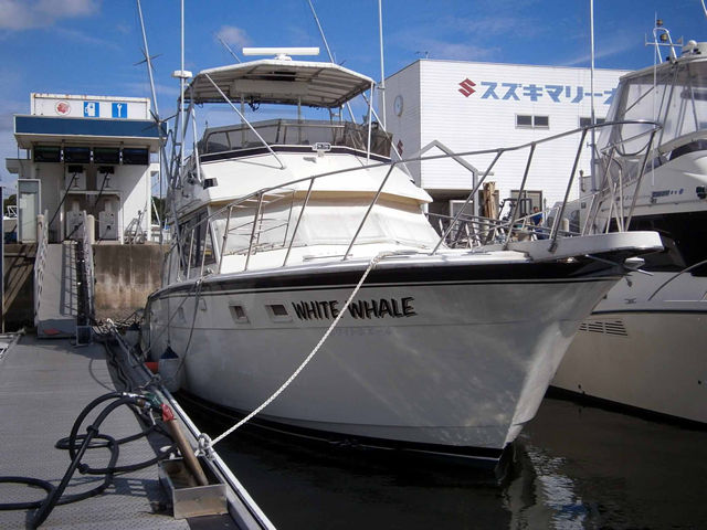 �n�g���X45